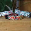floral dog collar