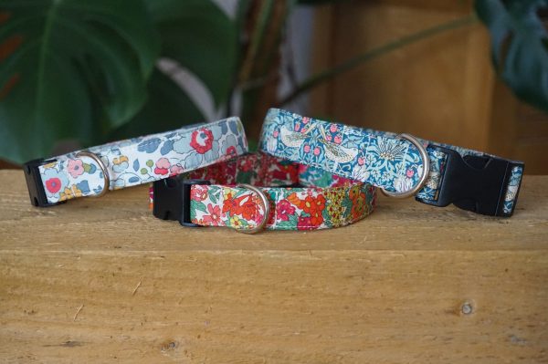 floral dog collar