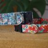 Adjustable Dog Collar | Liberty of London Floral